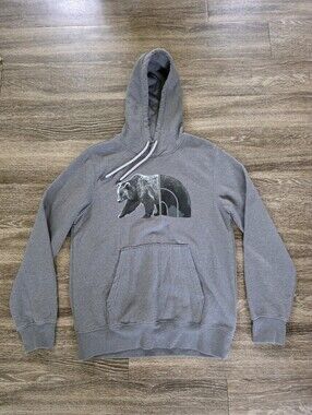 The North Face Bear Graphic Pullover Hoodie Gray Men's Medium